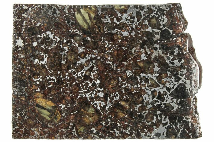 Polished Admire Pallasite Meteorite ( g) Slice - Kansas #307358